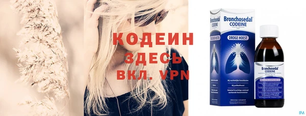 молекула духа Арсеньев