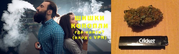 трава Аркадак