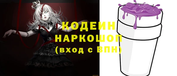 молекула духа Арсеньев