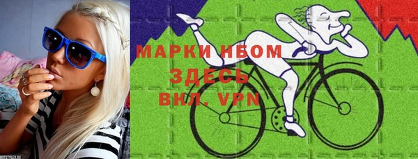 ПСИЛОЦИБИНОВЫЕ ГРИБЫ Осинники