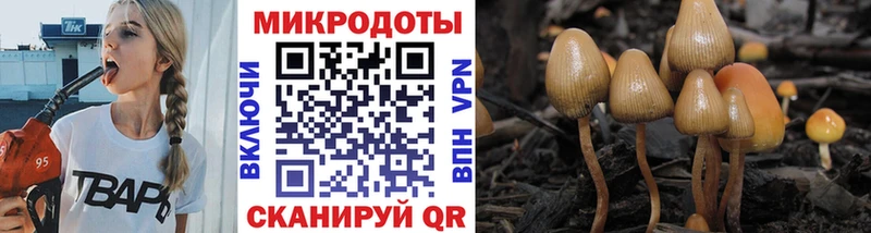 Псилоцибиновые грибы прущие грибы  Белово 